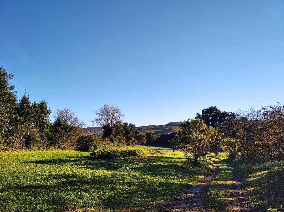 Albergue Casa Vacas Карриасо Экстерьер фото
